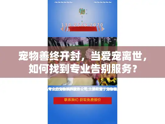 宠物善终开封，当爱宠离世，如何找到专业告别服务？