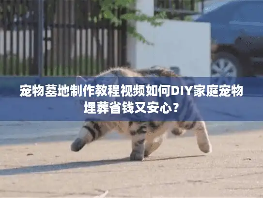 宠物墓地制作教程视频如何DIY家庭宠物埋葬省钱又安心？