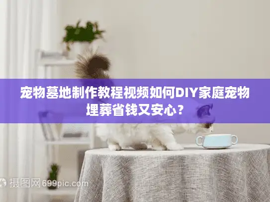 宠物墓地制作教程视频如何DIY家庭宠物埋葬省钱又安心？