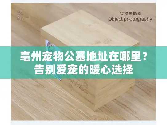 亳州宠物公墓地址在哪里？告别爱宠的暖心选择