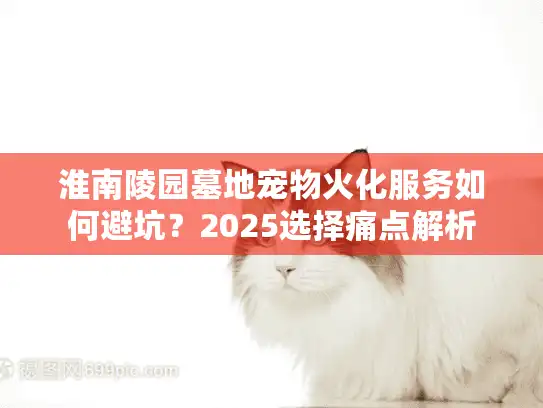 淮南陵园墓地宠物火化服务如何避坑？2025选择痛点解析