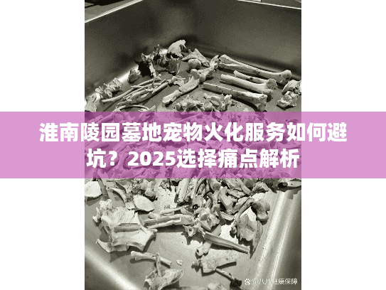 淮南陵园墓地宠物火化服务如何避坑？2025选择痛点解析