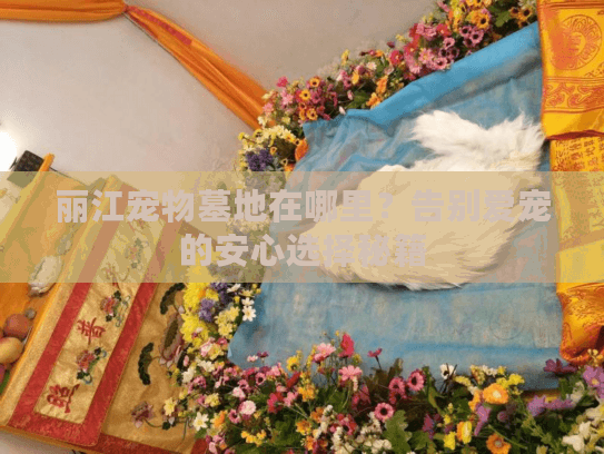 丽江宠物墓地在哪里？告别爱宠的安心选择秘籍