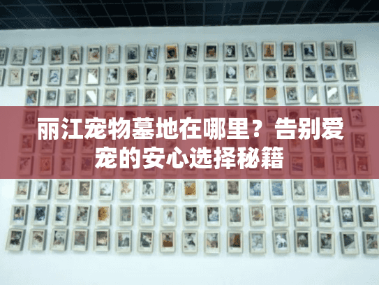 丽江宠物墓地在哪里？告别爱宠的安心选择秘籍