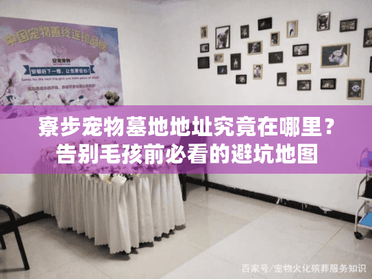 寮步宠物墓地地址究竟在哪里?告别毛孩前必看的避坑地图 寮步宠物墓地地址究竟在哪里?告别毛孩前必看的避坑地图