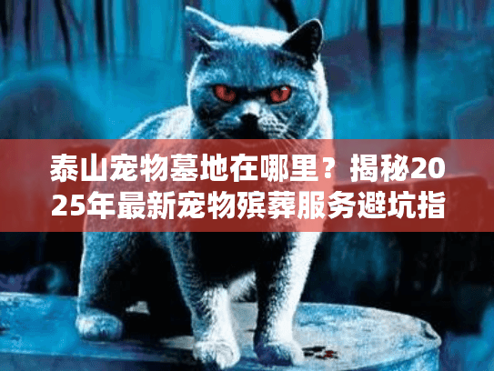 泰山宠物墓地在哪里？揭秘2025年最新宠物殡葬服务避坑指南