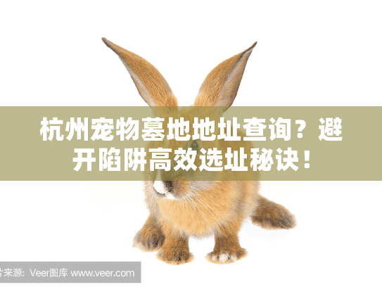杭州宠物墓地地址查询?避开陷阱高效选址秘诀! 杭州宠物墓地地址查询?避开陷阱高效选址秘诀!