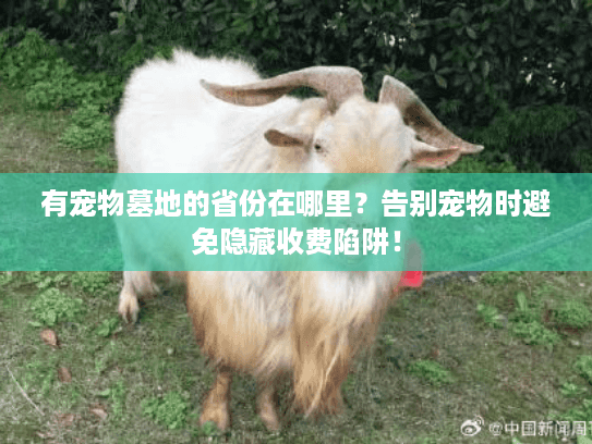 有宠物墓地的省份在哪里？告别宠物时避免隐藏收费陷阱！