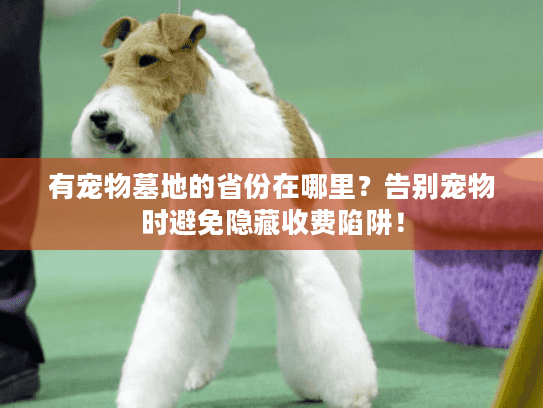 有宠物墓地的省份在哪里？告别宠物时避免隐藏收费陷阱！