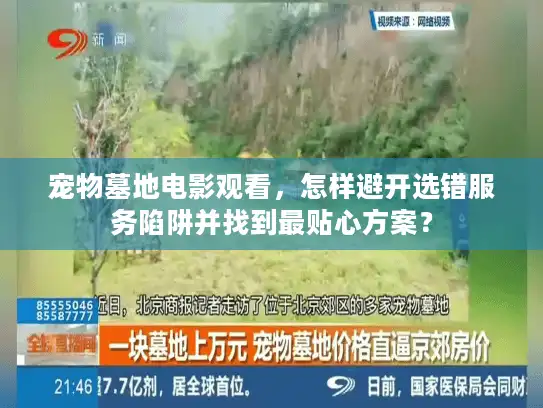 宠物墓地电影观看，怎样避开选错服务陷阱并找到最贴心方案？