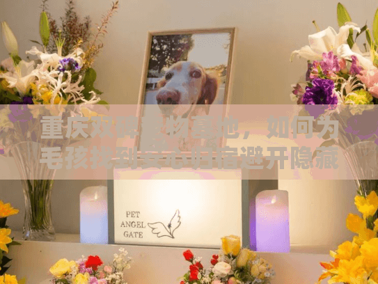 重庆双碑宠物墓地，如何为毛孩找到安心归宿避开隐藏陷阱？