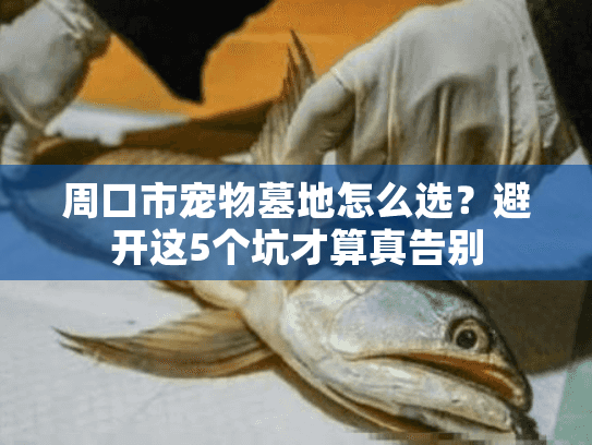 周口市宠物墓地怎么选？避开这5个坑才算真告别