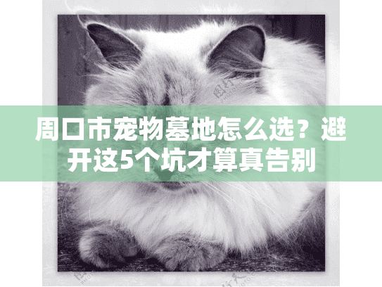 周口市宠物墓地怎么选？避开这5个坑才算真告别