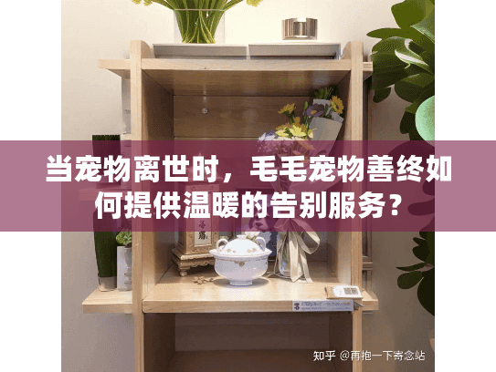 当宠物离世时，毛毛宠物善终如何提供温暖的告别服务？