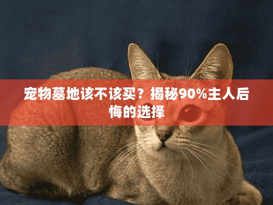 宠物墓地该不该买？揭秘90%主人后悔的选择