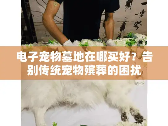 电子宠物墓地在哪买好？告别传统宠物殡葬的困扰