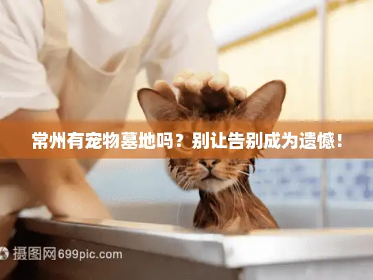 常州有宠物墓地吗？别让告别成为遗憾！