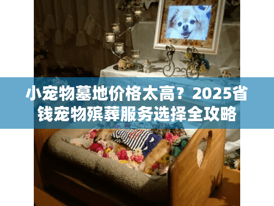 小宠物墓地价格太高？2025省钱宠物殡葬服务选择全攻略