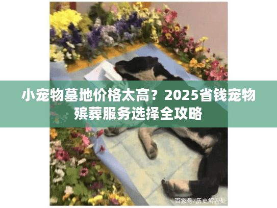 小宠物墓地价格太高？2025省钱宠物殡葬服务选择全攻略