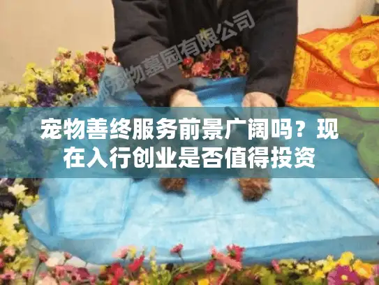 宠物善终服务前景广阔吗?现在入行创业是否值得投资 宠物善终服务前景广阔吗?现在入行创业是否值得投资
