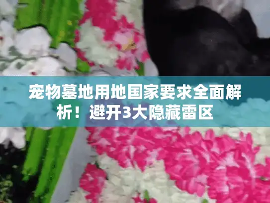 宠物墓地用地国家要求全面解析!避开3大隐藏雷区 宠物墓地用地国家要求全面解析!避开3大隐藏雷区