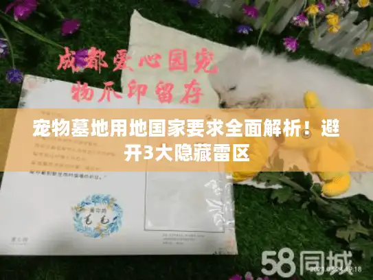 宠物墓地用地国家要求全面解析!避开3大隐藏雷区 宠物墓地用地国家要求全面解析!避开3大隐藏雷区