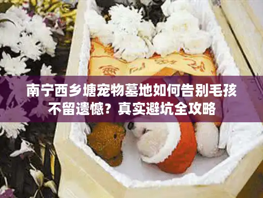 南宁西乡塘宠物墓地如何告别毛孩不留遗憾？真实避坑全攻略