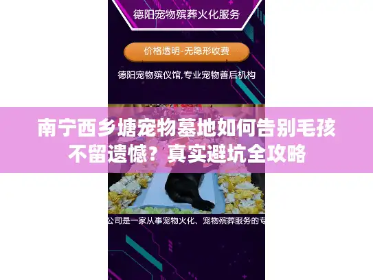 南宁西乡塘宠物墓地如何告别毛孩不留遗憾？真实避坑全攻略