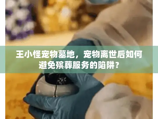 王小怪宠物墓地，宠物离世后如何避免殡葬服务的陷阱？