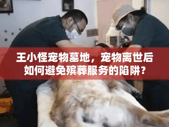 王小怪宠物墓地，宠物离世后如何避免殡葬服务的陷阱？