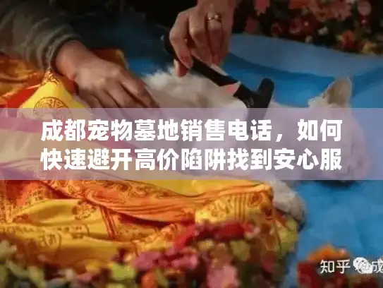 成都宠物墓地销售电话，如何快速避开高价陷阱找到安心服务？