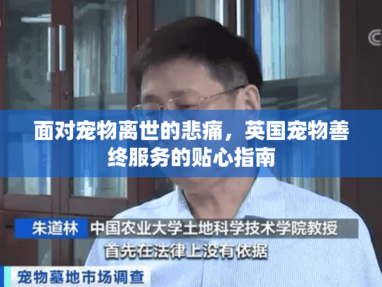 面对宠物离世的悲痛,英国宠物善终服务的贴心指南 面对宠物离世的悲痛,英国宠物善终服务的贴心指南