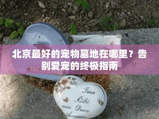 北京最好的宠物墓地在哪里？告别爱宠的终极指南