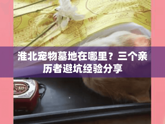 淮北宠物墓地在哪里?三个亲历者避坑经验分享 淮北宠物墓地在哪里?三个亲历者避坑经验分享