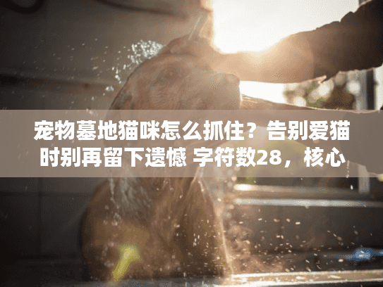 宠物墓地猫咪怎么抓住？告别爱猫时别再留下遗憾 字符数28，核心关键词前置，疑问句+痛点句式）