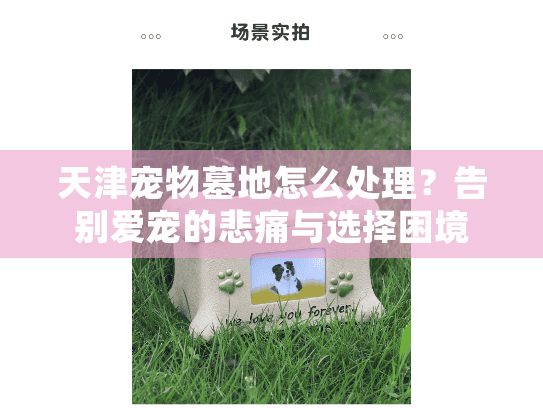 天津宠物墓地怎么处理?告别爱宠的悲痛与选择困境 天津宠物墓地怎么处理?告别爱宠的悲痛与选择困境