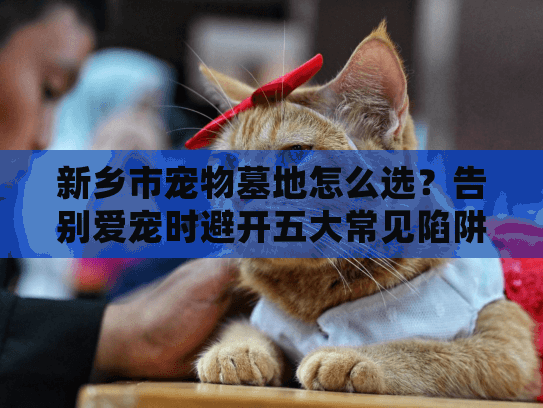 新乡市宠物墓地怎么选?告别爱宠时避开五大常见陷阱 新乡市宠物墓地怎么选?告别爱宠时避开五大常见陷阱