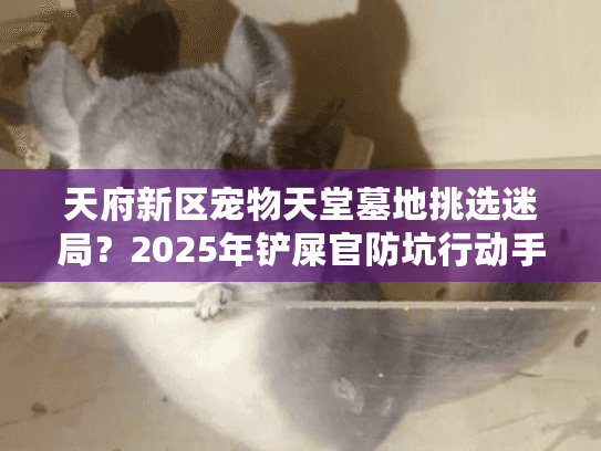 天府新区宠物天堂墓地挑选迷局？2025年铲屎官防坑行动手册