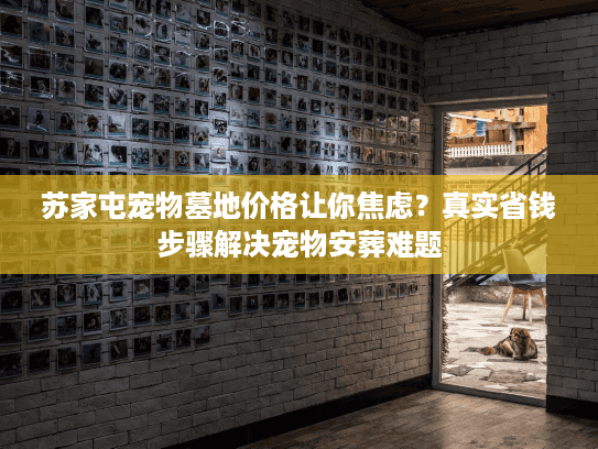 苏家屯宠物墓地价格让你焦虑？真实省钱步骤解决宠物安葬难题
