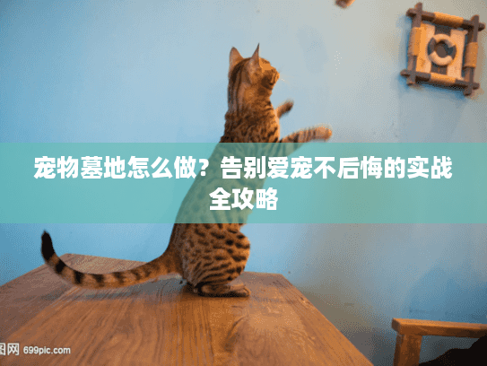 宠物墓地怎么做？告别爱宠不后悔的实战全攻略