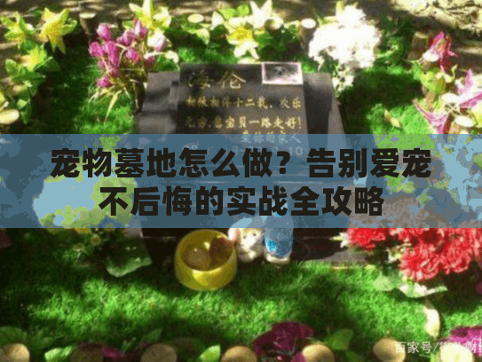 宠物墓地怎么做？告别爱宠不后悔的实战全攻略