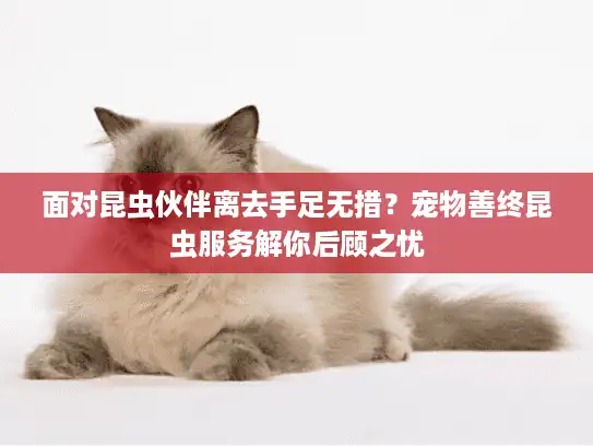 面对昆虫伙伴离去手足无措？宠物善终昆虫服务解你后顾之忧