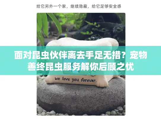 面对昆虫伙伴离去手足无措？宠物善终昆虫服务解你后顾之忧