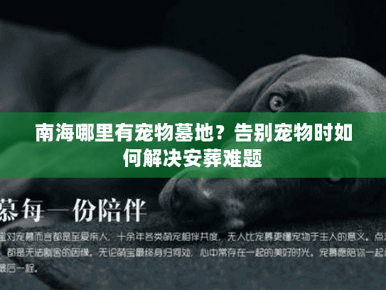 南海哪里有宠物墓地？告别宠物时如何解决安葬难题