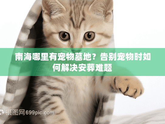 南海哪里有宠物墓地？告别宠物时如何解决安葬难题