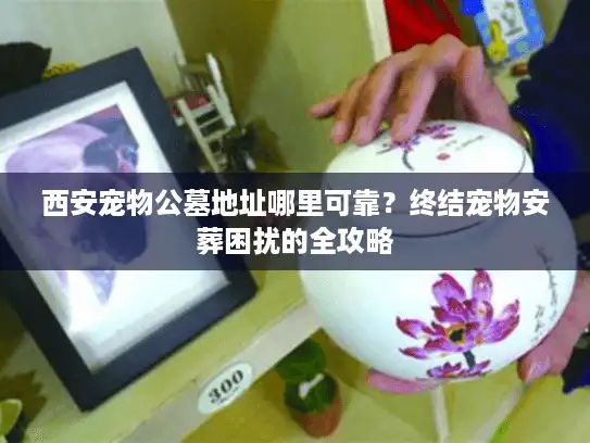 西安宠物公墓地址哪里可靠？终结宠物安葬困扰的全攻略
