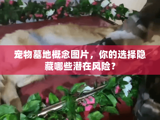 宠物墓地概念图片，你的选择隐藏哪些潜在风险？