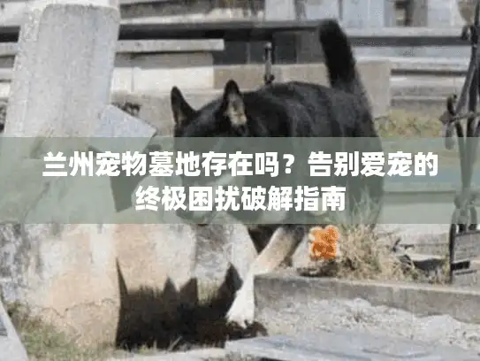 兰州宠物墓地存在吗？告别爱宠的终极困扰破解指南