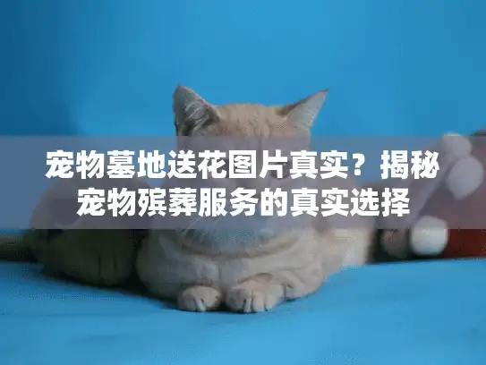 宠物墓地送花图片真实？揭秘宠物殡葬服务的真实选择