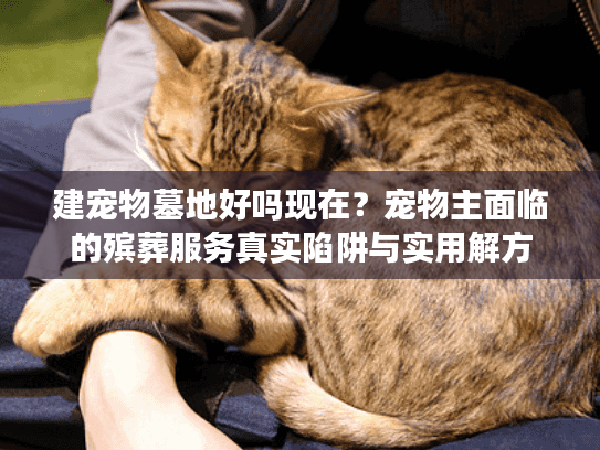 建宠物墓地好吗现在?宠物主面临的殡葬服务真实陷阱与实用解方 建宠物墓地好吗现在?宠物主面临的殡葬服务真实陷阱与实用解方
